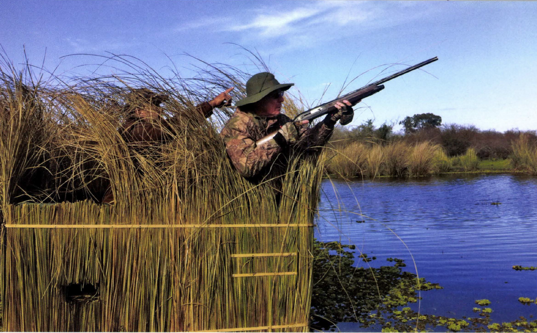 hunter in grass argentina